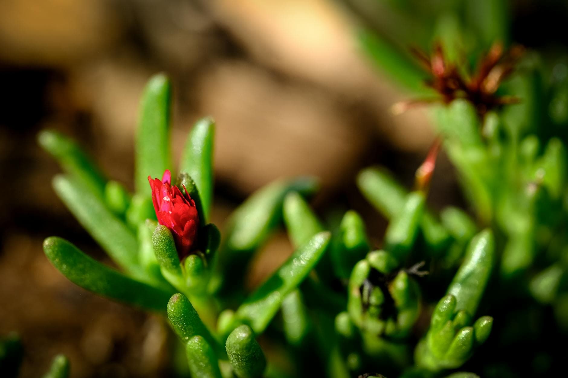 Half Life 3 : préparez-vous à une déception majeure