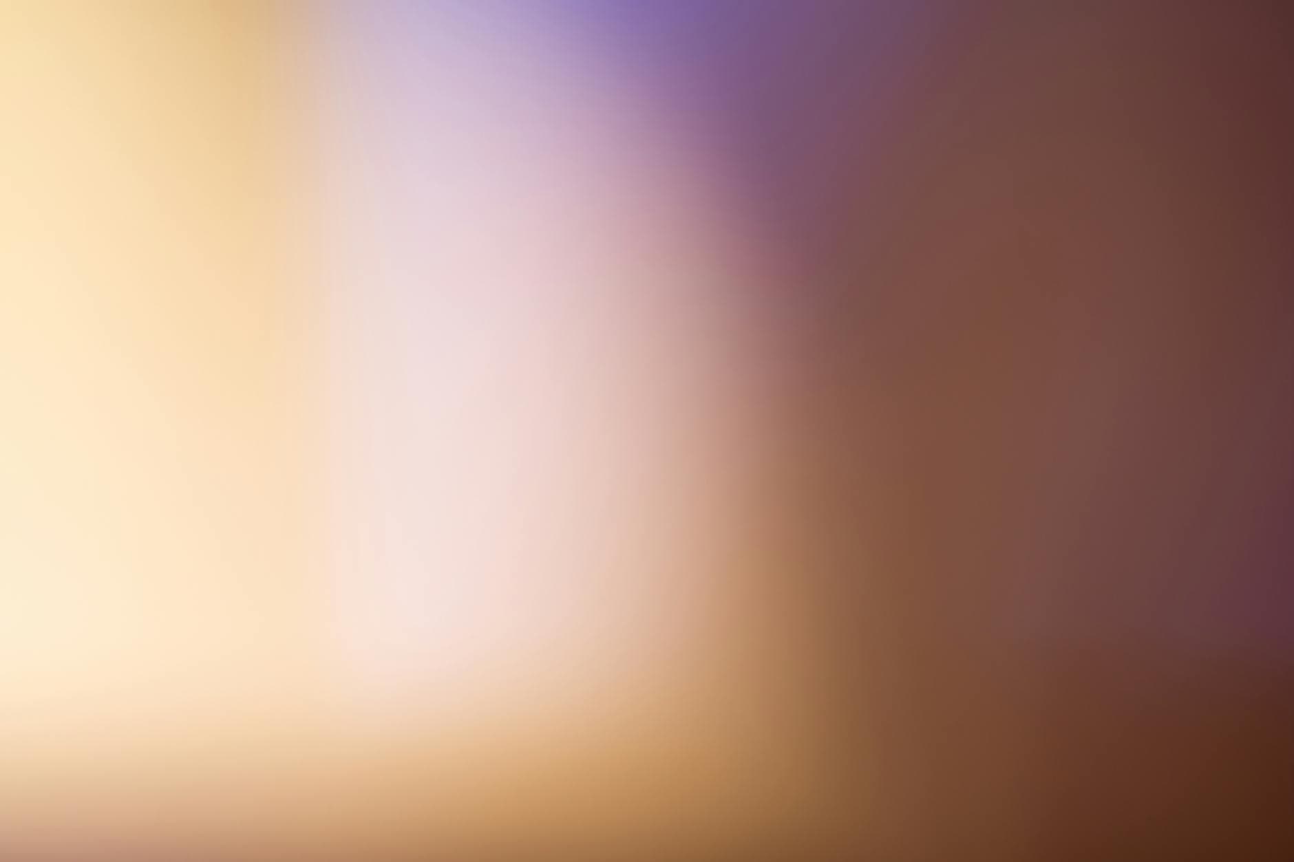 JobLife remporte son cinquième titre de champion de France